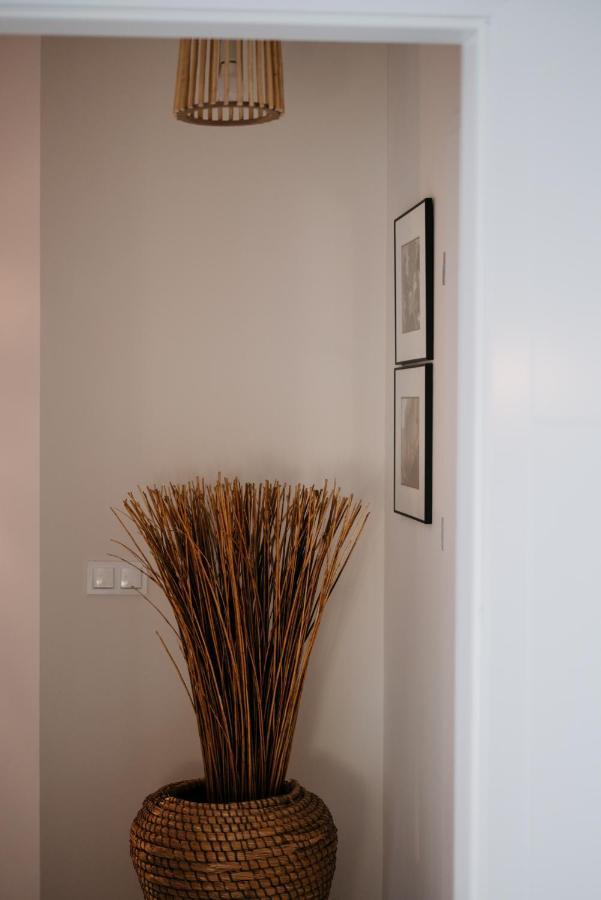 Old Town Wroclaw-2Floor Apartment Private Parking Exteriér fotografie